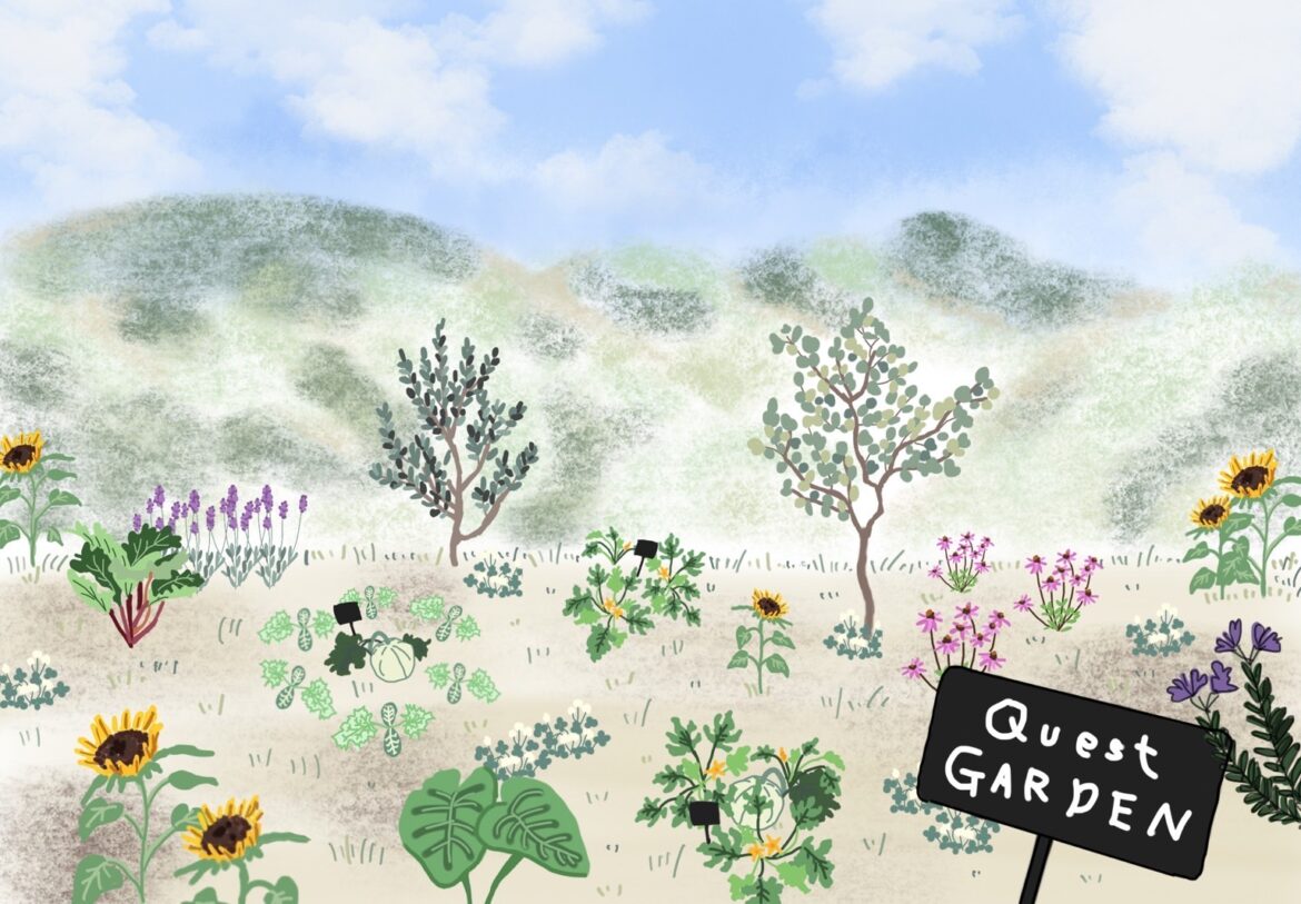 Quest Garden Illustration by REI