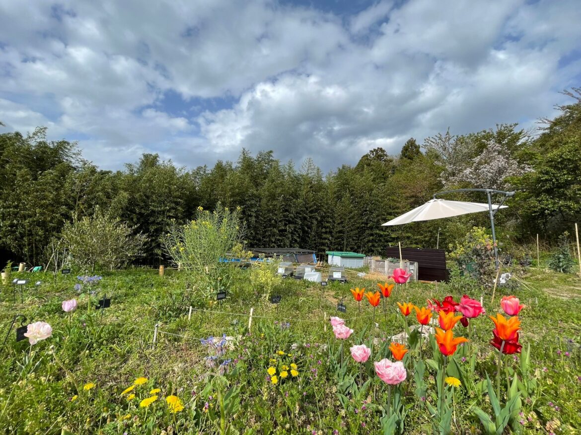 LINE_ALBUM_20240416_240417_31