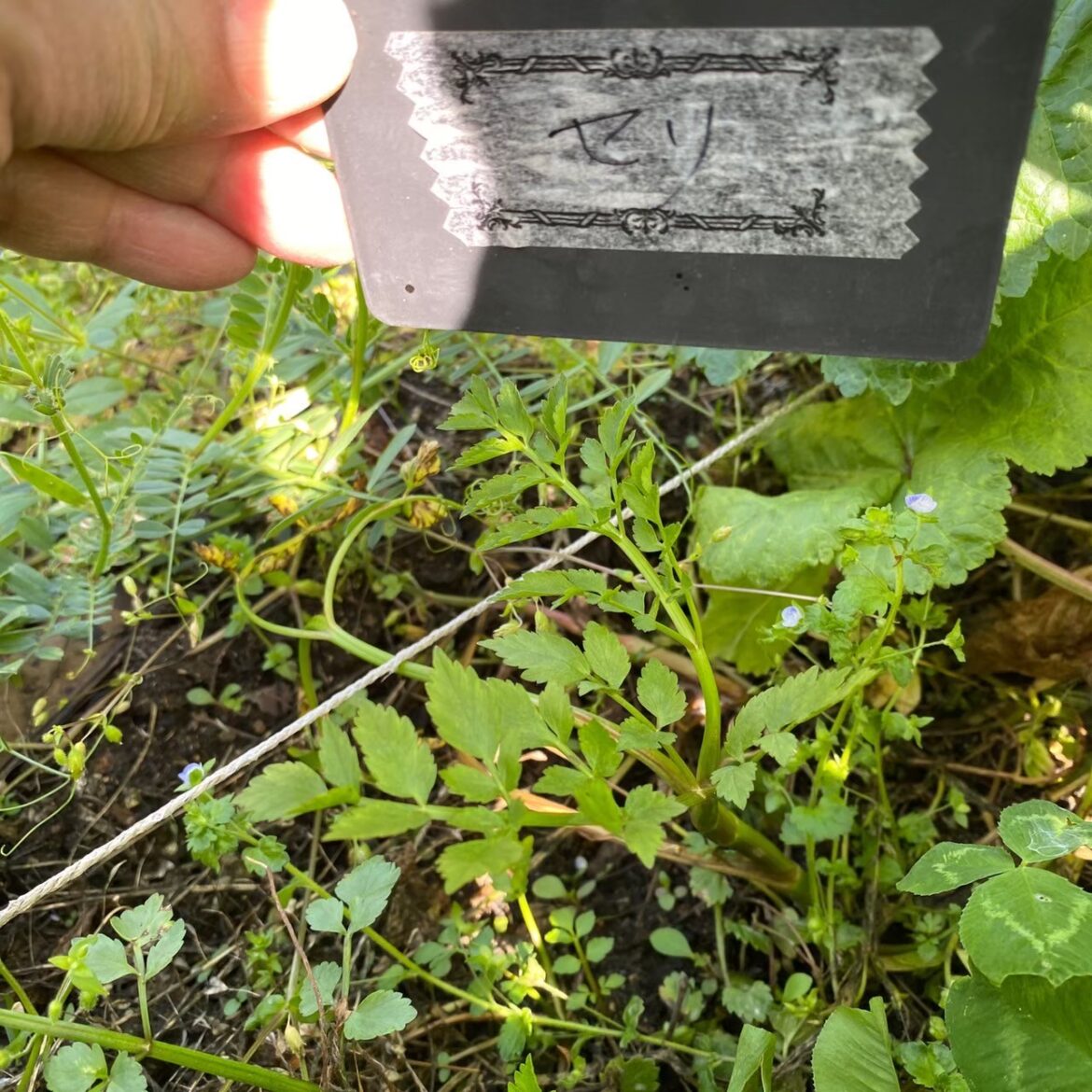 LINE_ALBUM_20240425_240728_9