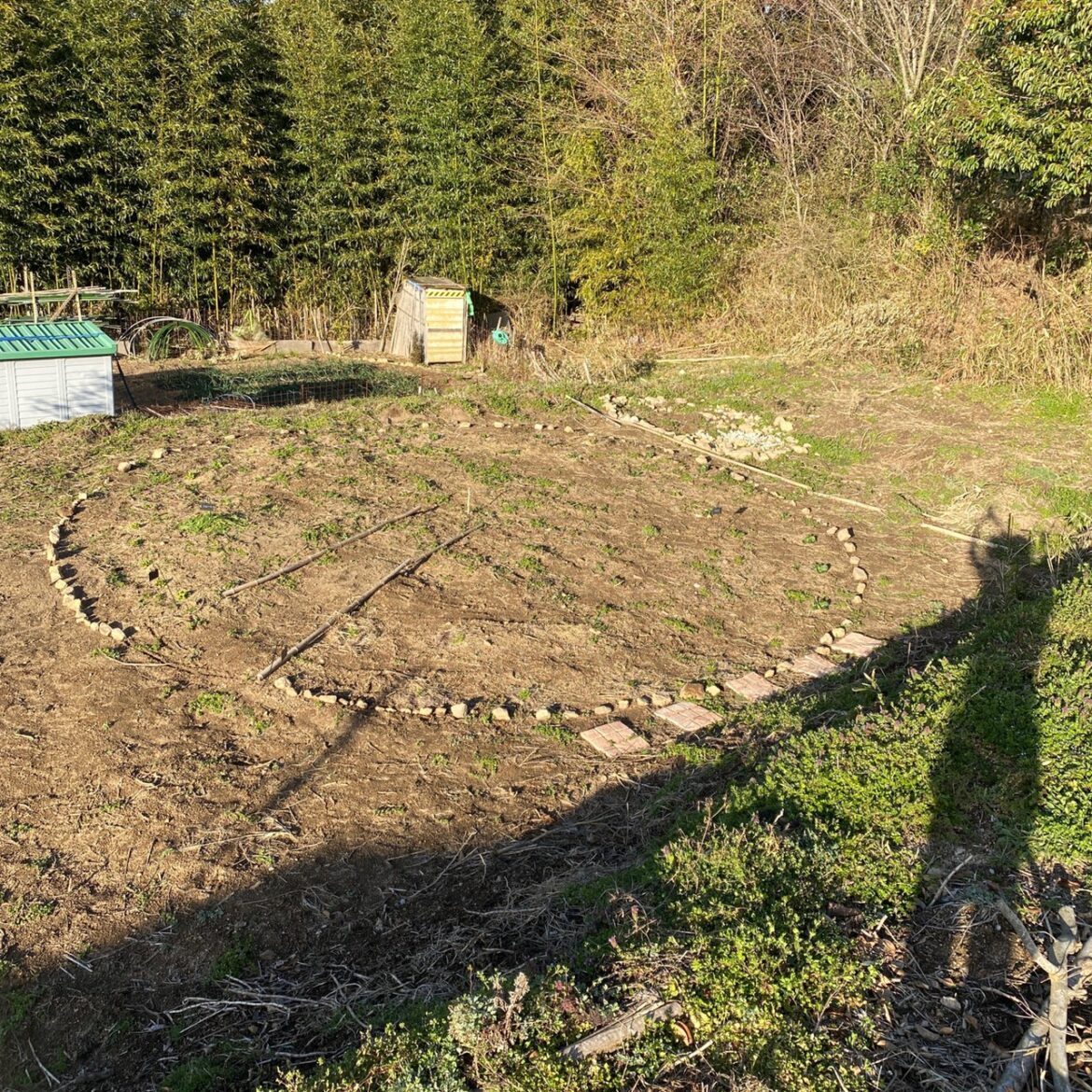 LINE_ALBUM_230330_17